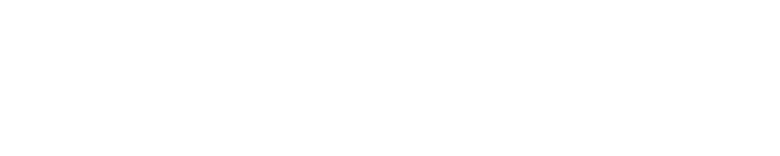 Zeff Scout